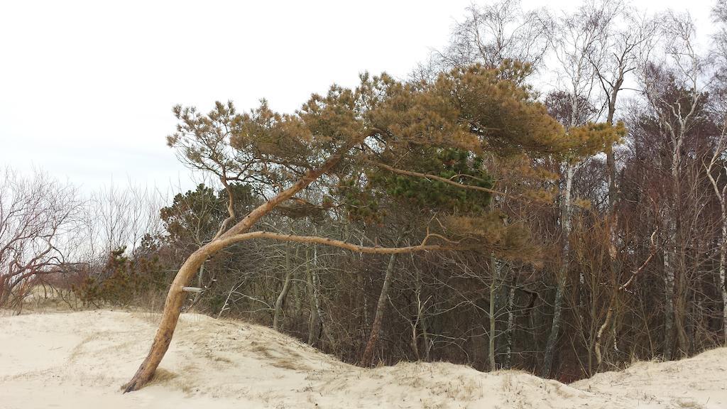 Ramaus Poilsio Apartamentai Palanga Zimmer foto